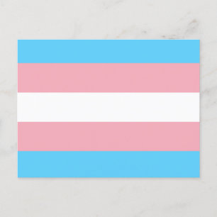 Transgender Flag Postkarte