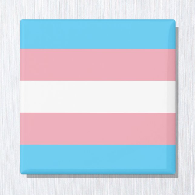 Transgender-Flag & Prix-Community/Geschlechterflag Magnet (Von Creator hochgeladen)