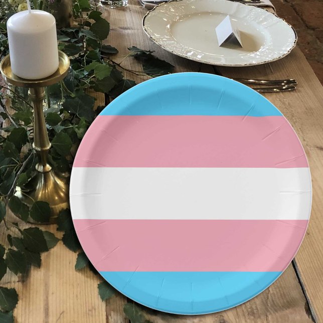 Transgender-Flag-Teller, Stolpergemeinde / Geschle Pappteller (Von Creator hochgeladen)