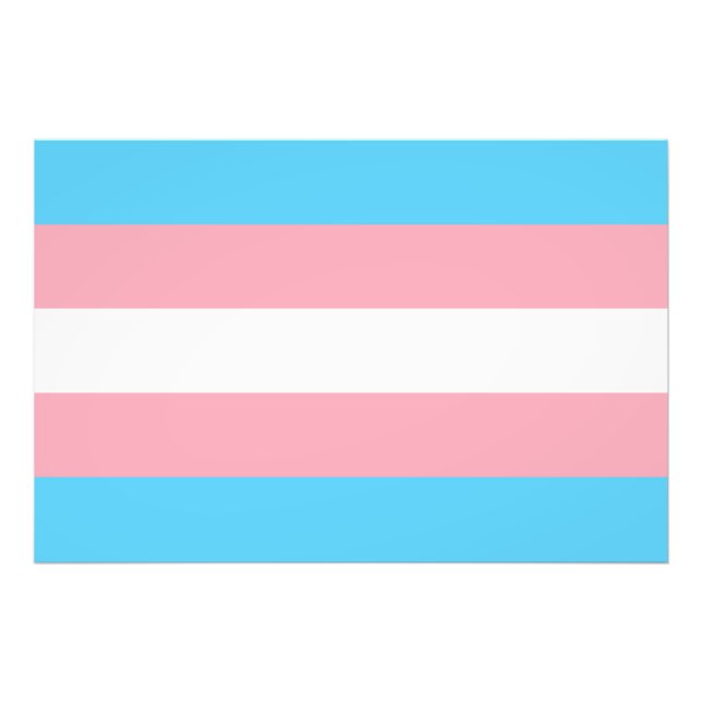 transgender Flag trans lgbt lgbtq schwul lesbian h Fotodruck (Vorne)