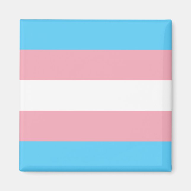Transgender-Flag trans-prime LGBT-Symbol Homos Magnet (Vorne)