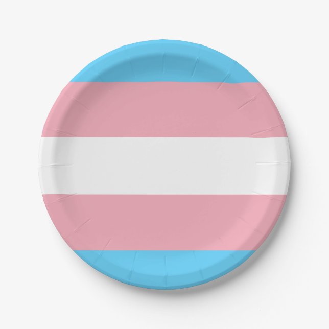 Transgender Flagge Pappteller (Vorderseite)