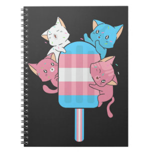Transgender-Flaggen-Katzen und ein Eis am Stiel Notizblock