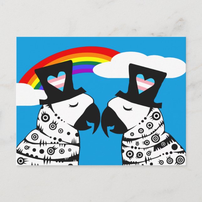 Transgender Gay Parrots Couple Postkarte (Vorderseite)