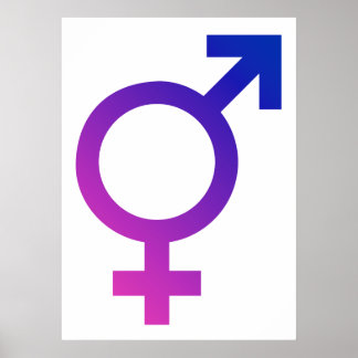 Transgender Hermaphrodite Gender Prix Symbol Poster