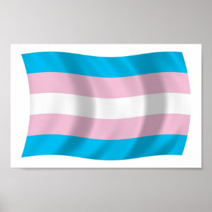 Transgender-Preis-Flag-Plakat drucken Poster