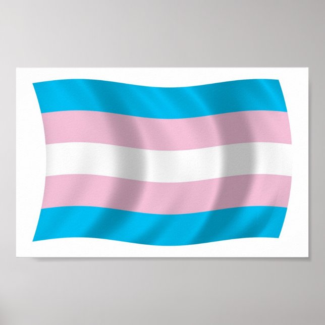 Transgender-Preis-Flag-Plakat drucken Poster (Vorne)