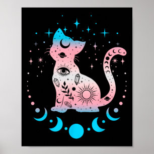Transgender Pride Flag Colors Cat Lovers Poster