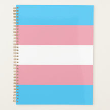 Transgender Pride Flag modern