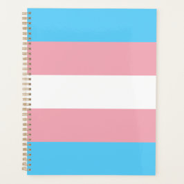 Transgender Pride Flag modern Planer