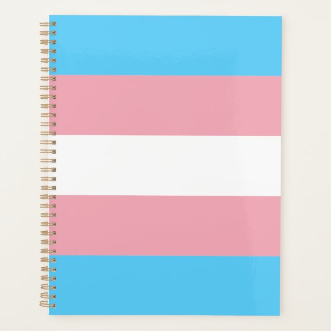 Transgender Pride Flag modern Planer (Vorderseite)