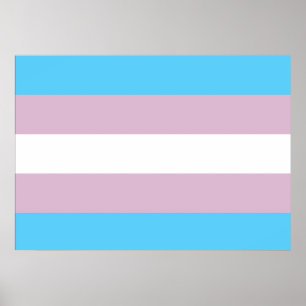 Transgender-Pride-Flag-Plakat Poster