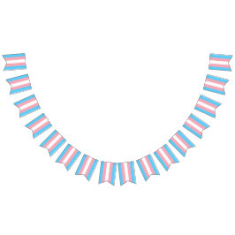 Transgender-Pride-Flag Wimpelkette