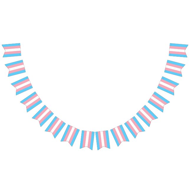 Transgender-Pride-Flag Wimpelkette (Alle)