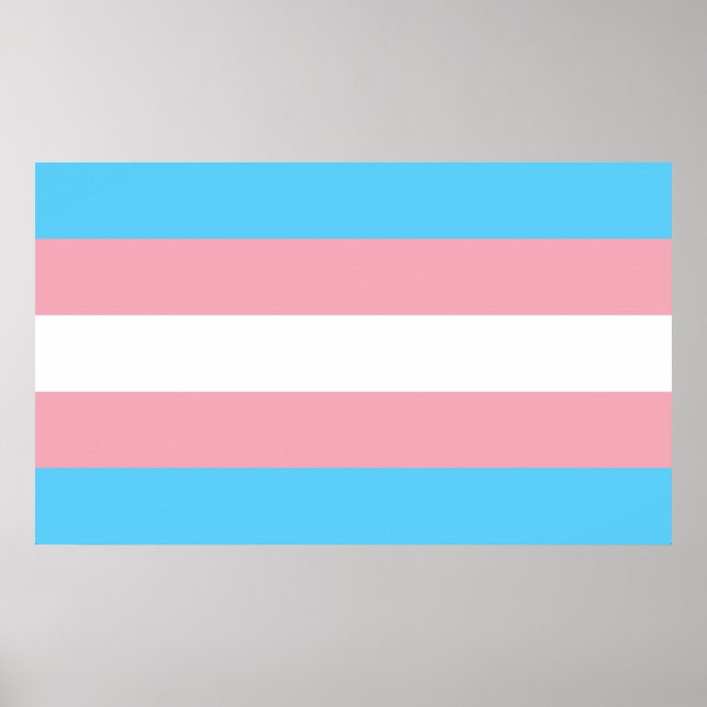 Transgender-Pride-Markierung Poster (Vorne)