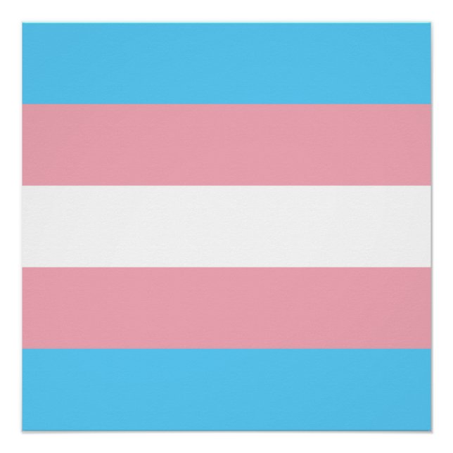 Transgender-Pride-Markierung Poster (Vorderseite)