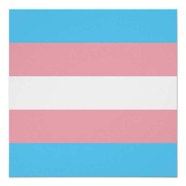 Transgender Prilag - LGBT-Regenbogen Poster (Vorderseite)
