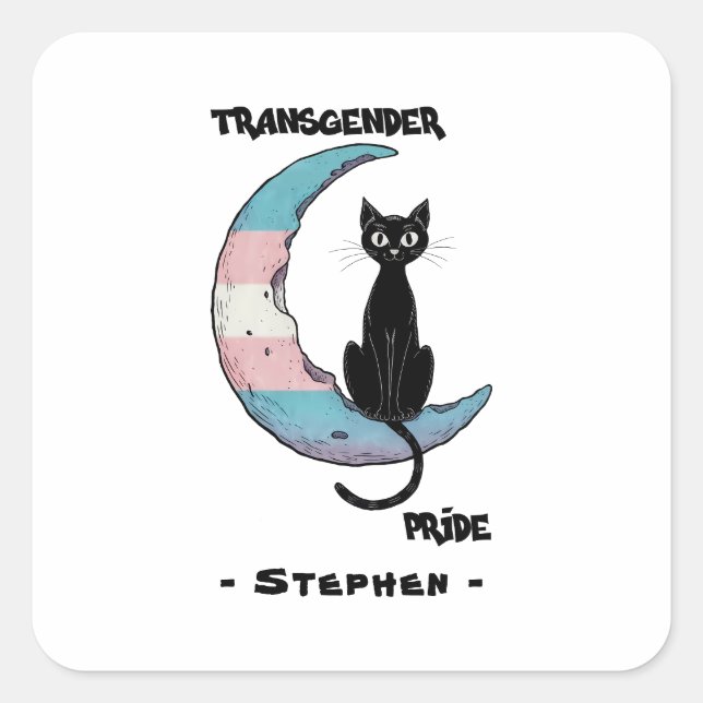 Transgender Prix - Schwarze Katze auf dem Trans Fl Quadratischer Aufkleber (Vorderseite)