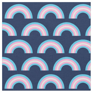 Transgender Rainbow Blue Pink Stoff