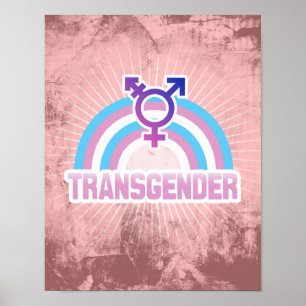 TRANSGENDER RAINBOW FLAG POSTER