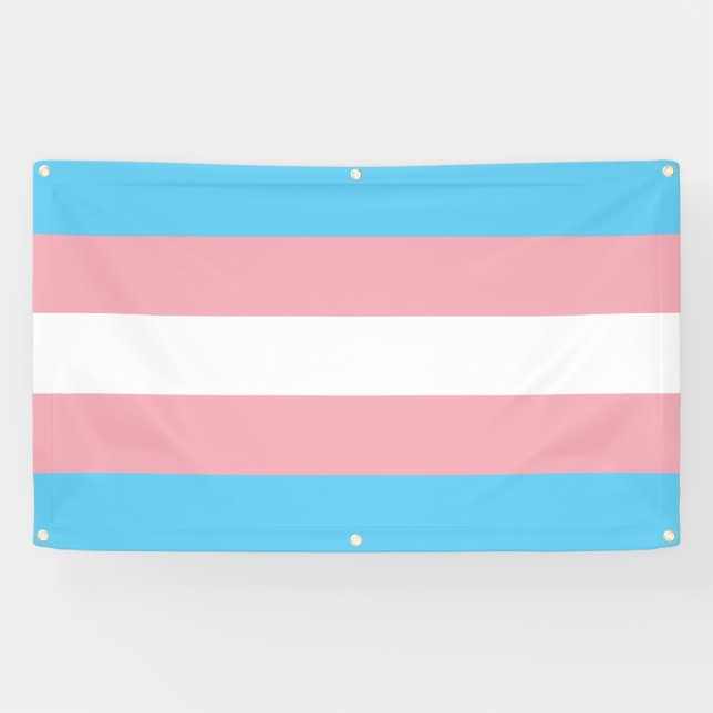 Transgender-Stolz Banner (Horizontal)