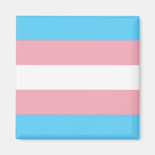 Transgender-Stolz-Flagge Magnet