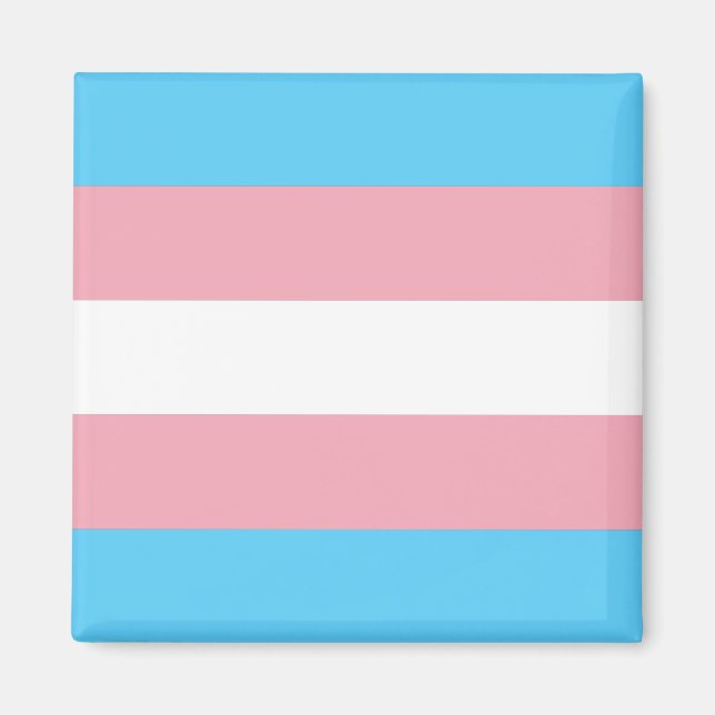Transgender-Stolz-Flagge Magnet (Vorne)