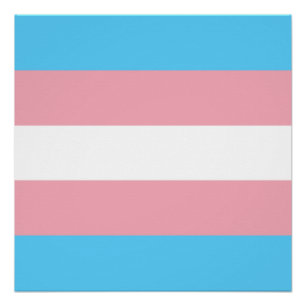 Transgender-Stolzflagge - LGBT-Regenbogen Poster