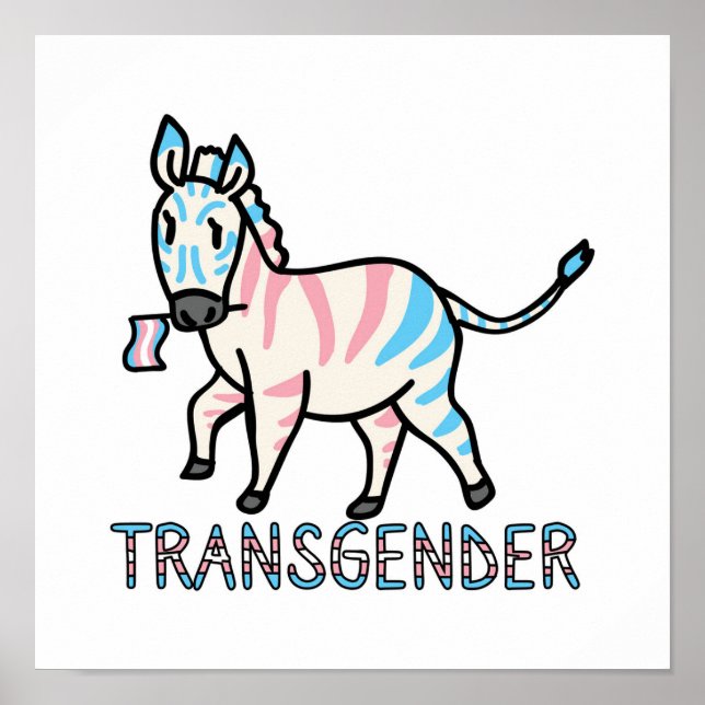 Transgender Zebra Poster (Vorne)
