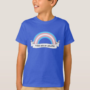 Transgenderregenbogen-Stolz T - Shirt