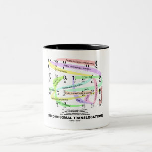 Translokationen (Karyogram) Zweifarbige Tasse