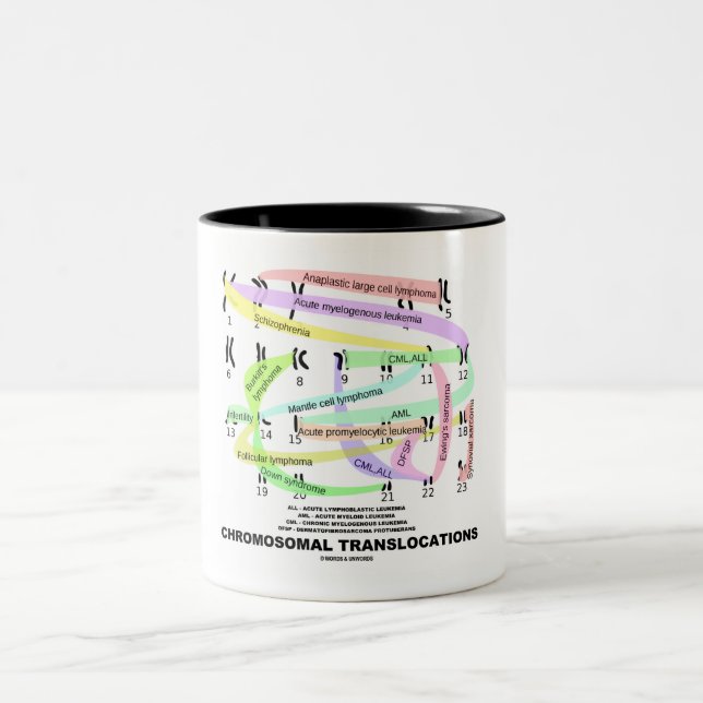 Translokationen (Karyogram) Zweifarbige Tasse (Mittel)