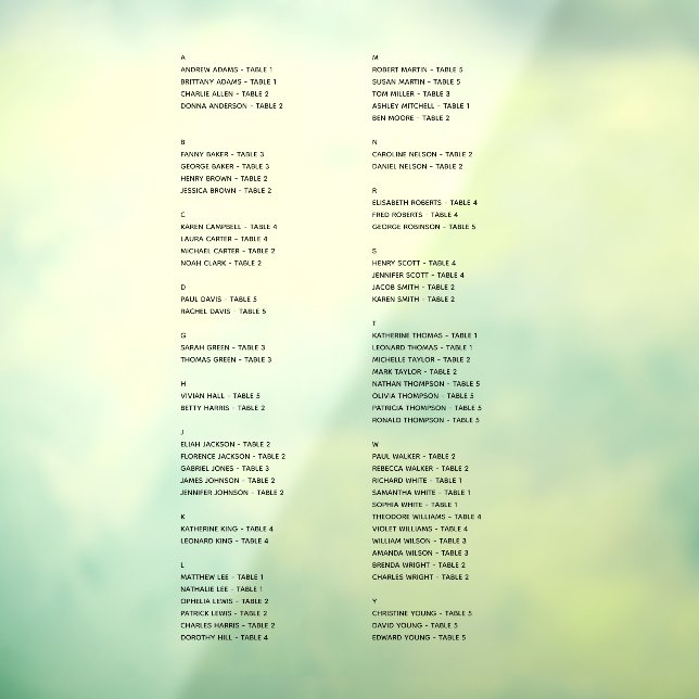 Transparente alphabetische Sitzdiagramme - nur Nam Fensteraufkleber (Blatt 3)