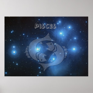 Transparente Fische Poster