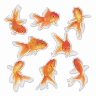 Transparente Goldfish Stickers Aufkleber