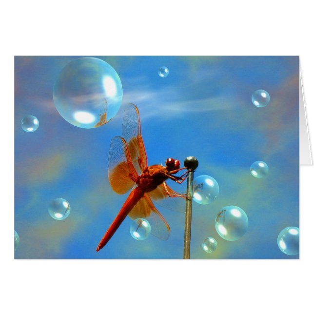 Transparente rote Libelle (Vorderseite (Horizontal))