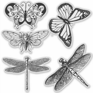 Transparente Sticker für fliegende Insekten
