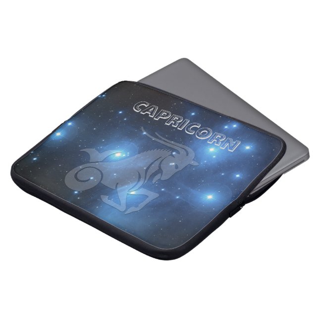 Transparenter Steinbock Laptopschutzhülle (Vorne Oben)