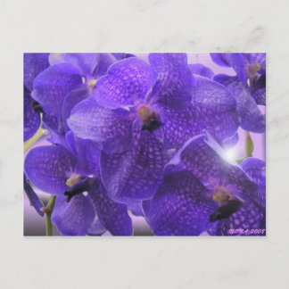 TRANSPARENZ POSTKARTE