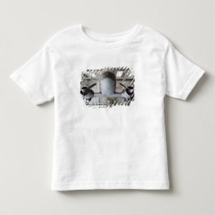 Transportflugzeug C-47 Dakota aus dem Zweiten Welt Kleinkind T-shirt