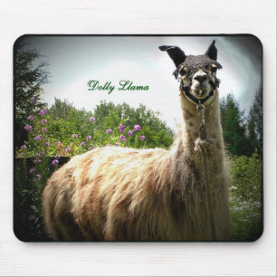 Transportwagen-Lama Mousepad