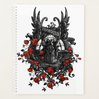 Transsexuelle Planer