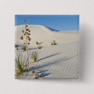 Transverse Dunes, Yucca, Schatten Button