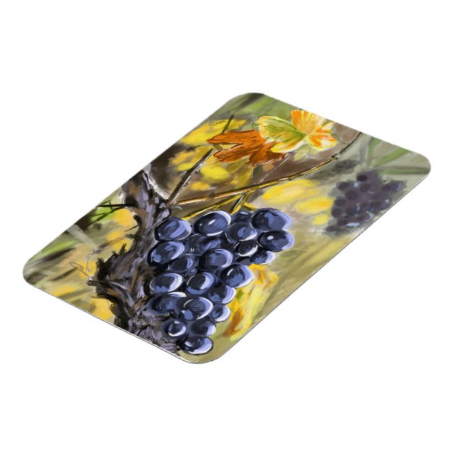 Trauben am Weinstock, Provence. Magnet (Linke Seite)