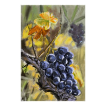 Trauben am Weinstock, Provence.