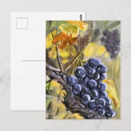 Trauben am Weinstock, Provence. Postkarte