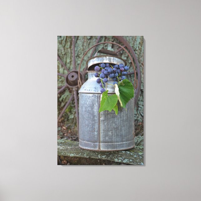 Trauben aus Concord in antiker Dose Leinwanddruck (Vorderseite)