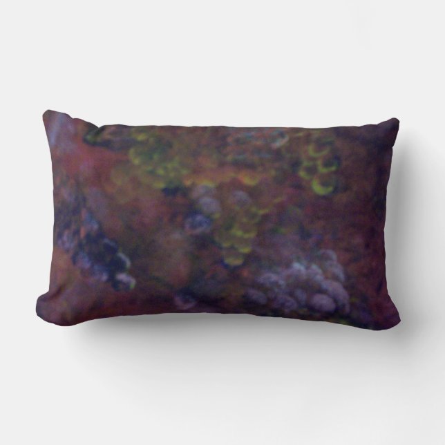 Trauben des Weins Lendenkissen (Vorderseite)