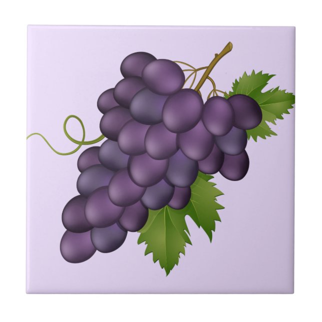 Trauben Druckfolie Fliese (Vorderseite)