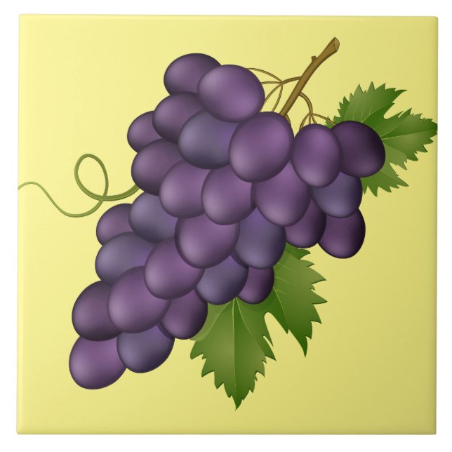 Trauben Druckfolie Fliese (Vorderseite)